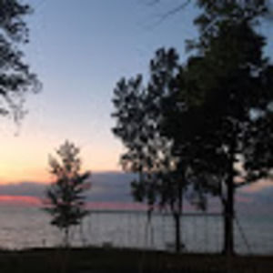 Meet your Posher, Muriel